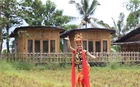 Sawah Ijen